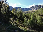 vald16 008m